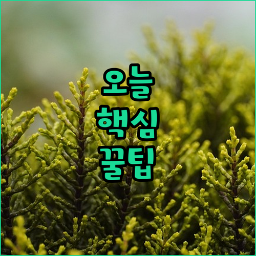 스마일 호텔 나트랑의 가성비 좋은 숙