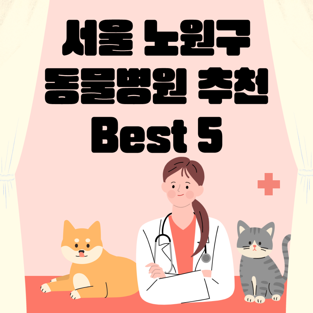 서울 노원구 동물병원 추천 Best 5 ㅣ24시간 동물병원ㅣ비용ㅣ반려동물 의료비 지원 50만원 블로그 썸내일 사진