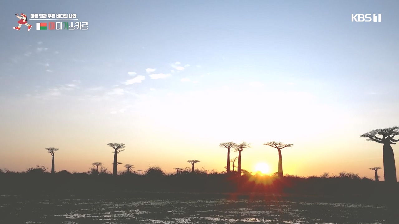 걸어서 세계속으로.E814.231022p-NEXT.mp4_20231022_165059.388.jpg