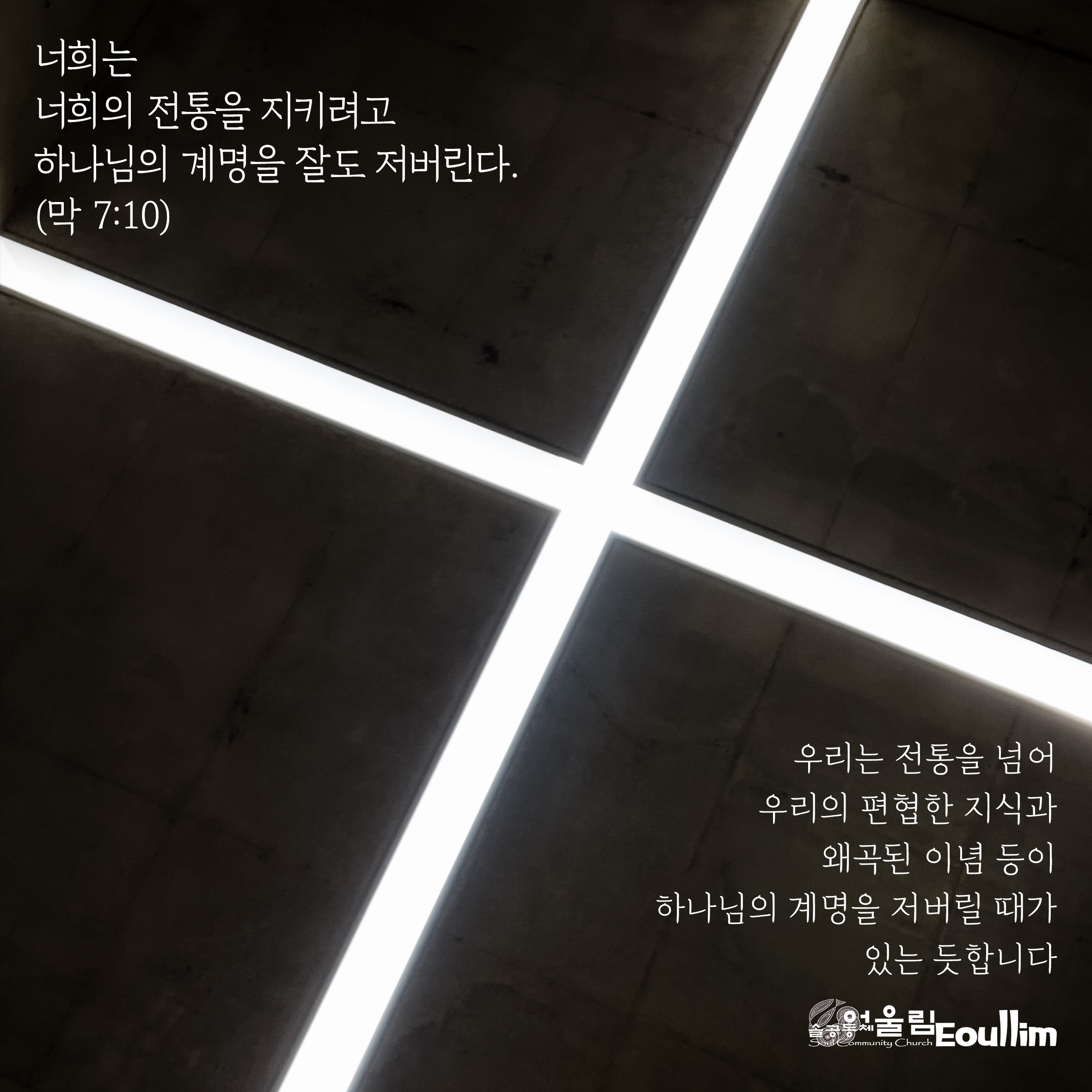 마가 이미지