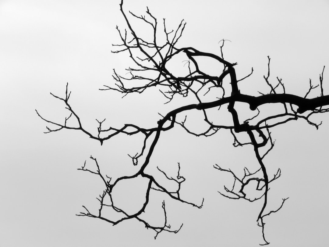 Entanglement