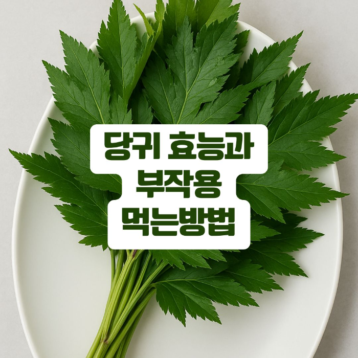 당귀 효능