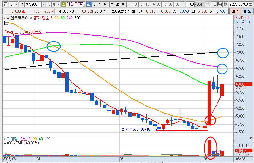 6월 8일 하인크코리아 일봉 차트