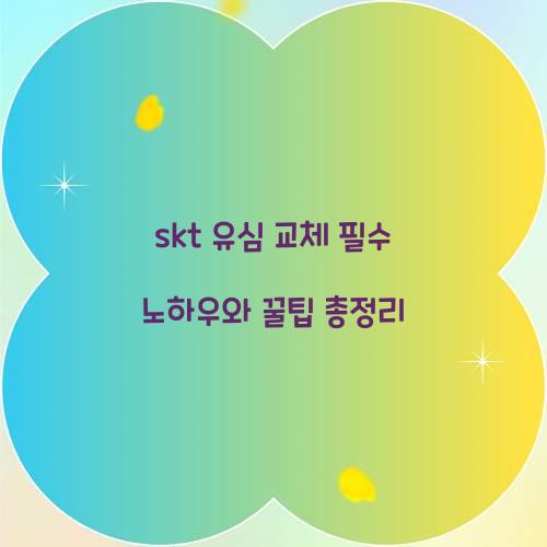 skt 유심 교체