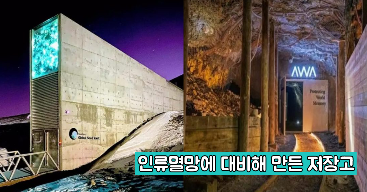  인류가 멸망했을 때를 대비해 만든 특이한 저장소