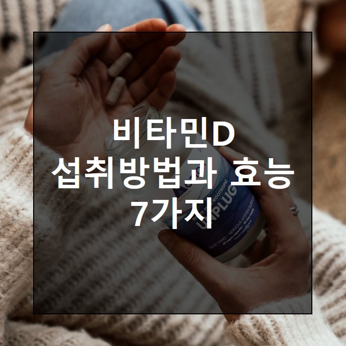 비타민D효능