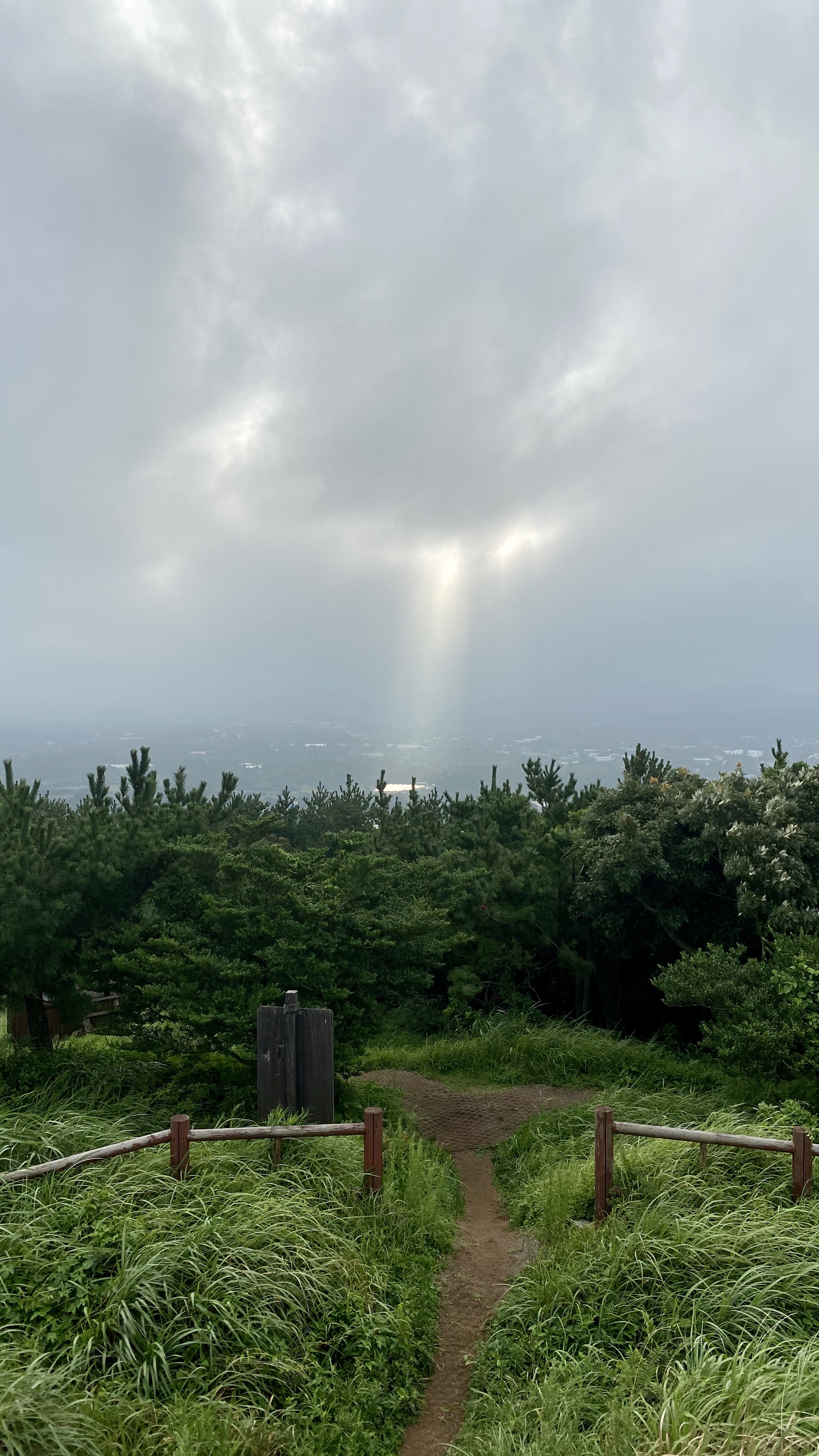  20200805_대수산봉