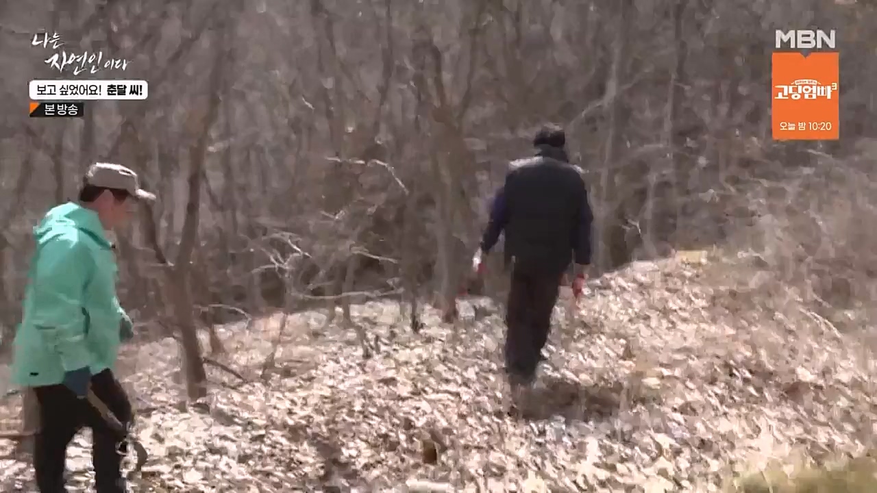 나는 자연인이다.E548.230406p-NEXT.mp4_20230406_195751.636.jpg