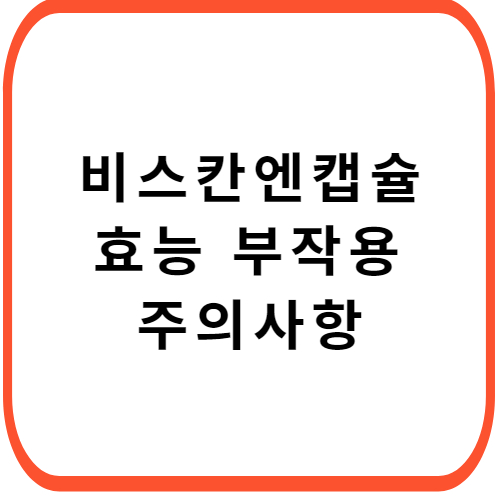 비스칸엔-캡슐-성분-효능-부작용-썸네일