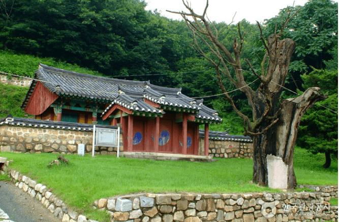 [코리아둘레길 DMZ 평화의 길 9코스] 자연과 역사가 공존하는 임진강 철책길 완전정복