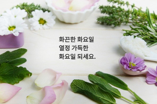 흰색 보라색 데이지 꽃과 초록잎 테두리 액자