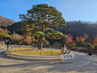 화담숲 사전예약