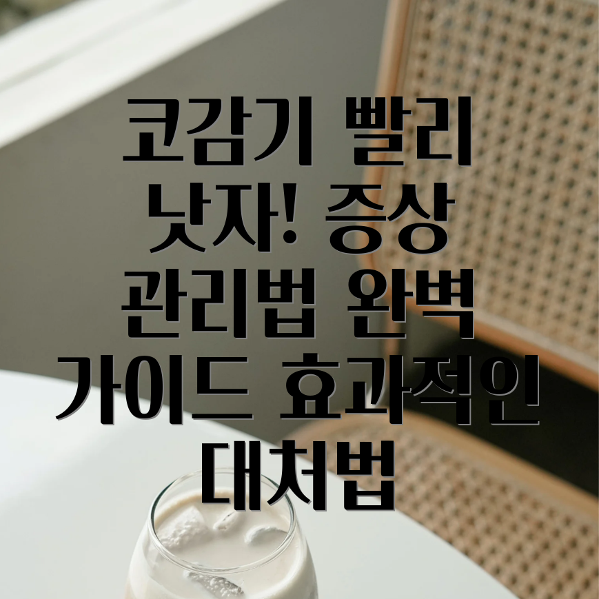 코감기 증상 관리