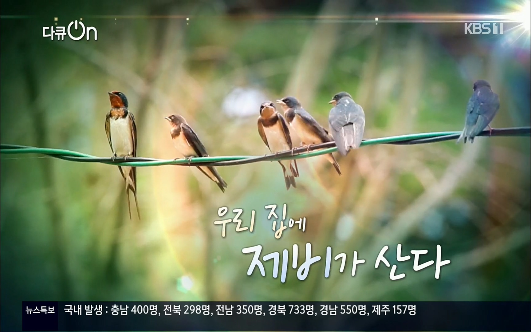 다큐 On.E143.220610p.H264-F1RST.mp4_20220613_200555.548.jpg