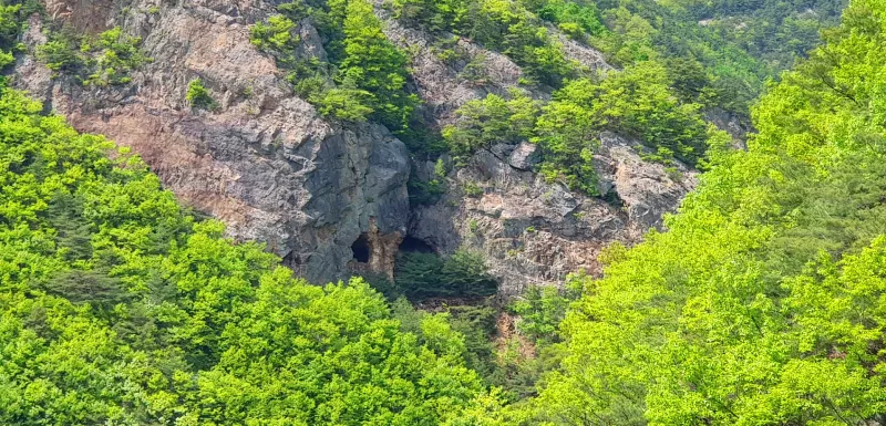 밀양 구만산