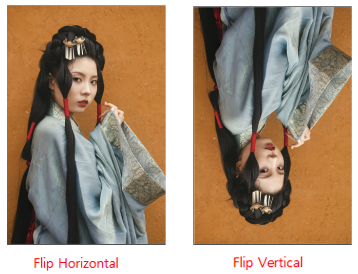 Flip Horizontal / Flip Vertical 비교하기
