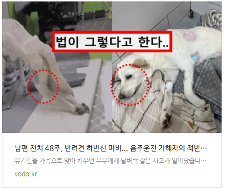 [아침뉴스] "남편 전치 48주, 반려견 하반신 마비"... 음주운전 가해자의 적반하장에 온 국민이 분노했다
