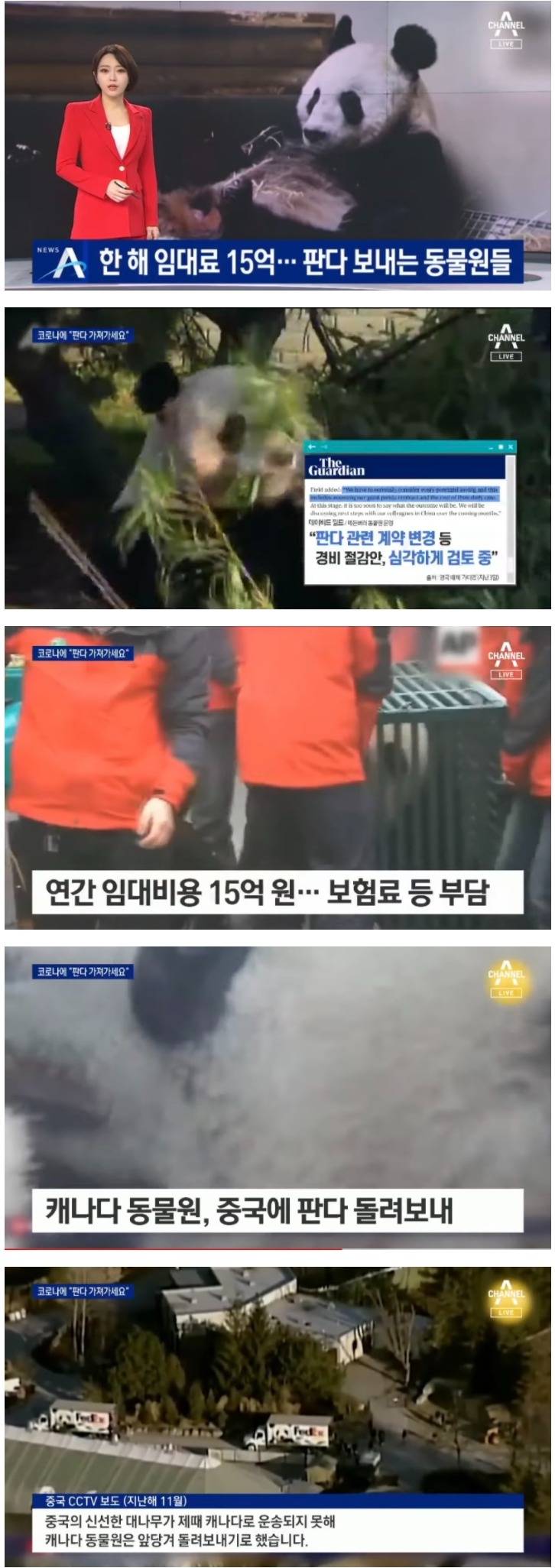  15억짜리 돈먹는 하마