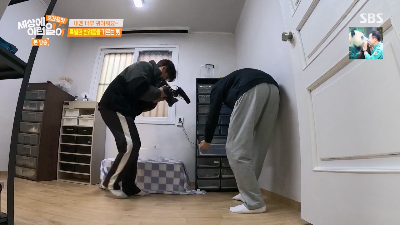 순간포착 세상에 이런일이.E1269.240317p-NEXT.mp4_20240317_163612.671.jpg