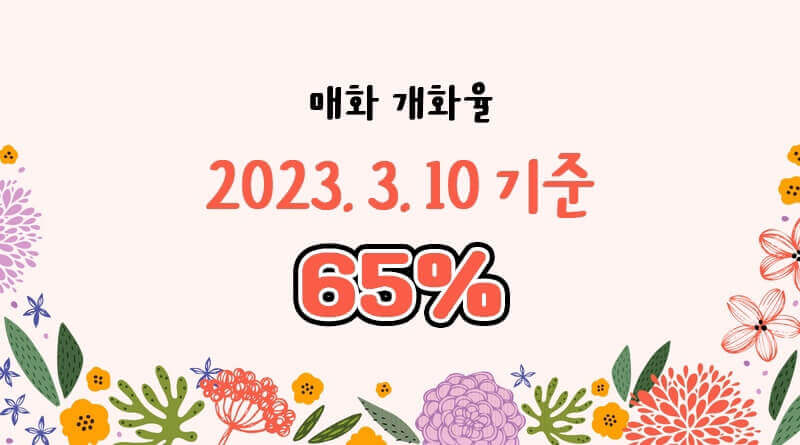 매화율
