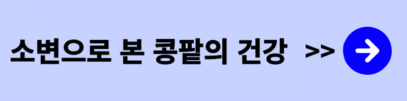 콩팥-신장의-역할과-만성질환-소변으로-본-콩팥의-건강