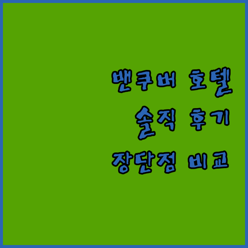 솔직 후기 밴쿠버 파라독스, 팬 퍼시
