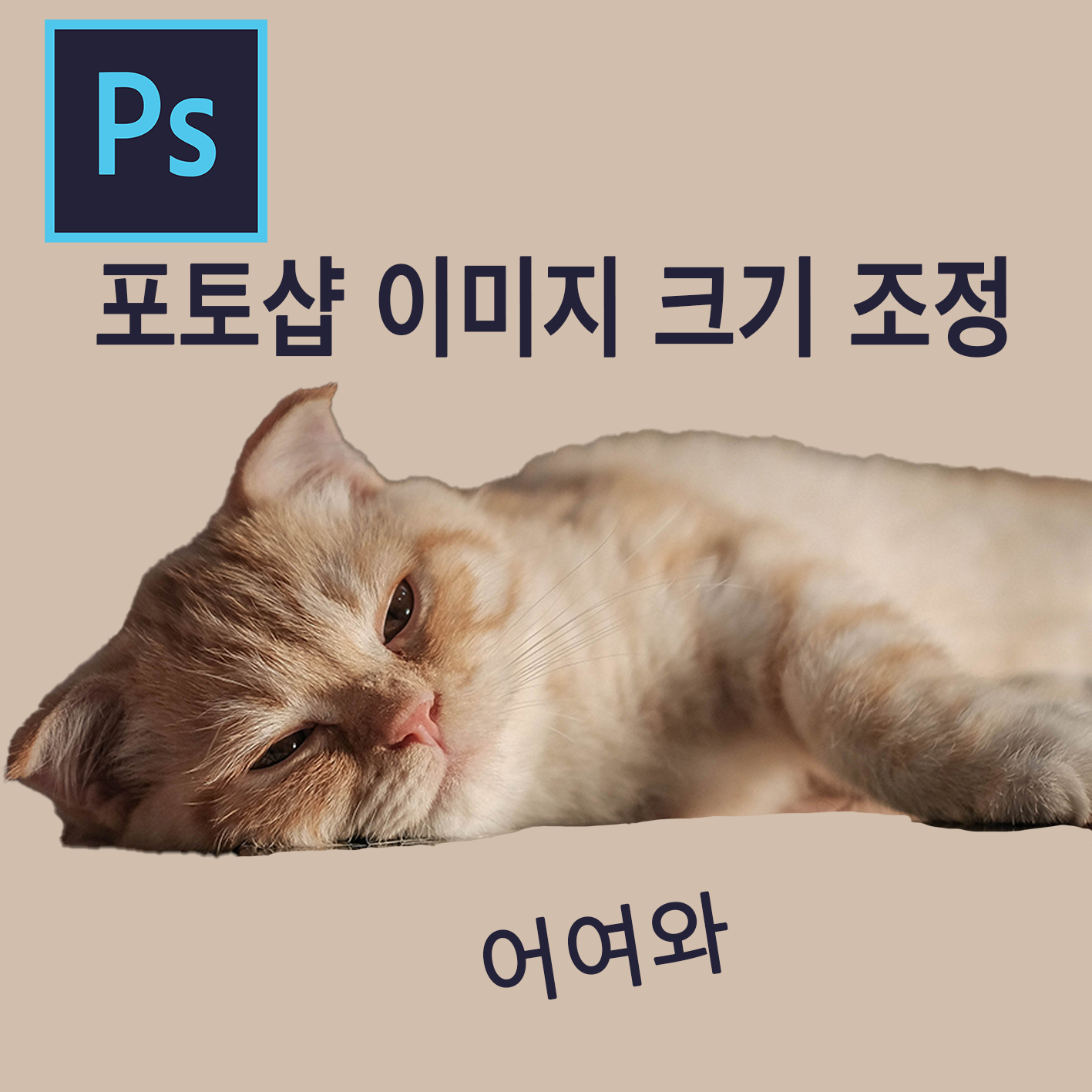  포토샵 이미지 크기 조절