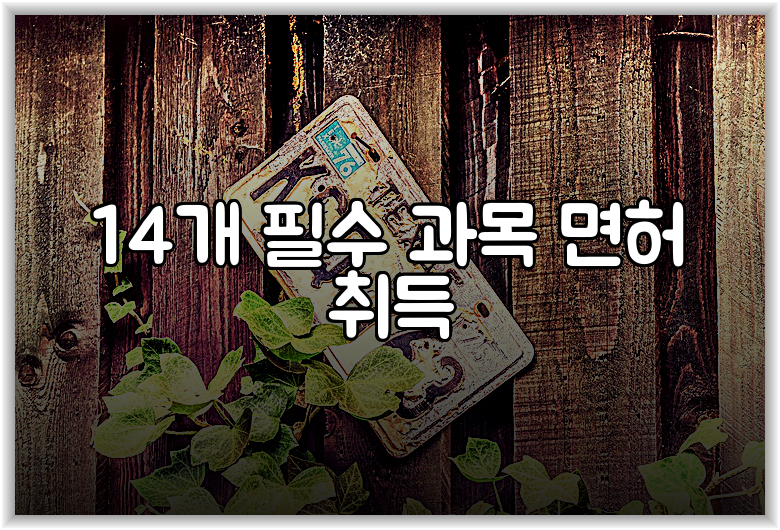 14개 필수 과목 면허 취득