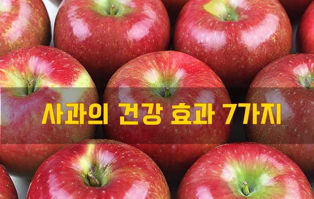  사과의 건강 효과 7가지
