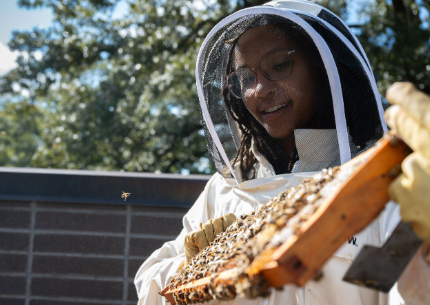 The Beekeeper Artist Janelle Dunlap&#39;s Unique Journey Blending Nature&#44; Art&#44; and Research