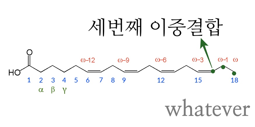 오메가3 구조