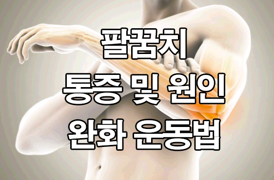  팔꿈치 통증 및 원인 : 완화 운동법