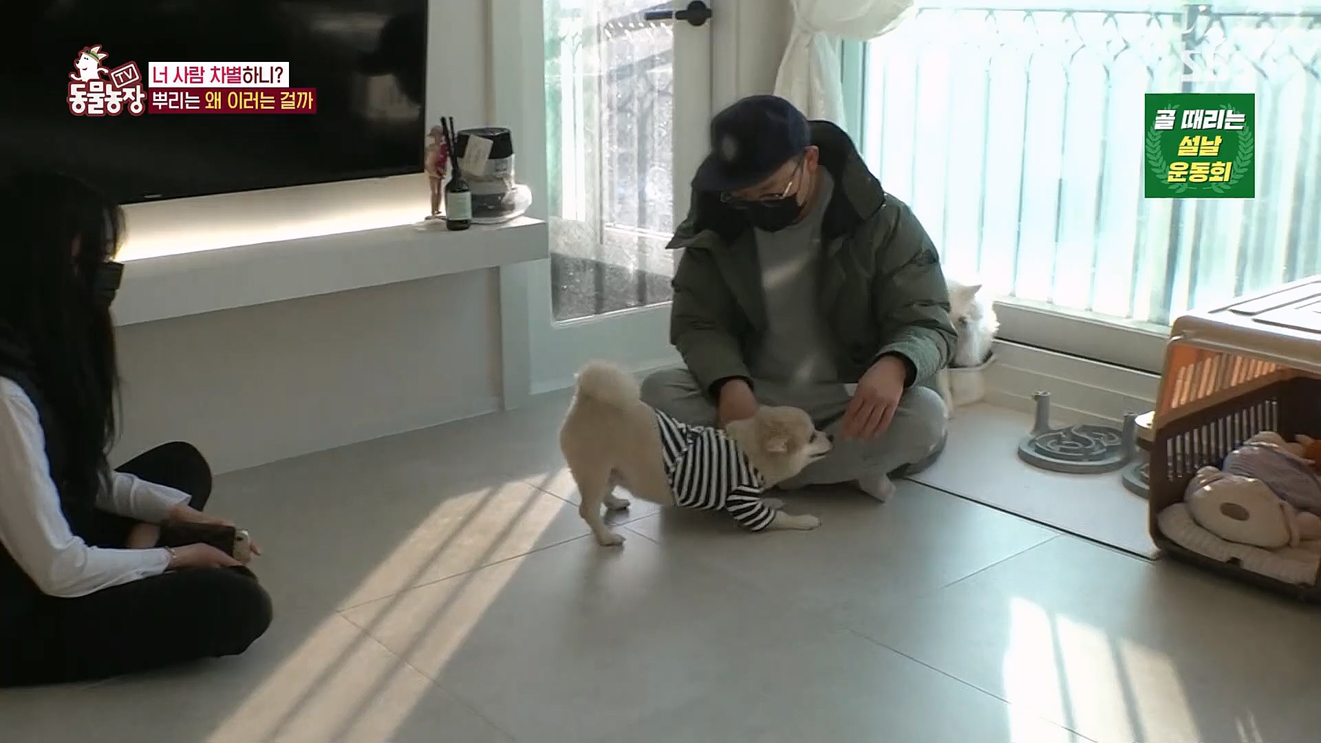 TV 동물농장.E1104.230115p.H264-F1RST.mp4_20230115_173201.575.jpg