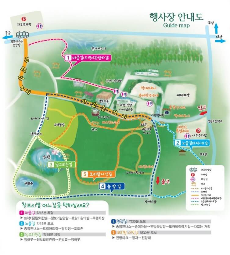 고창 청보리 축제