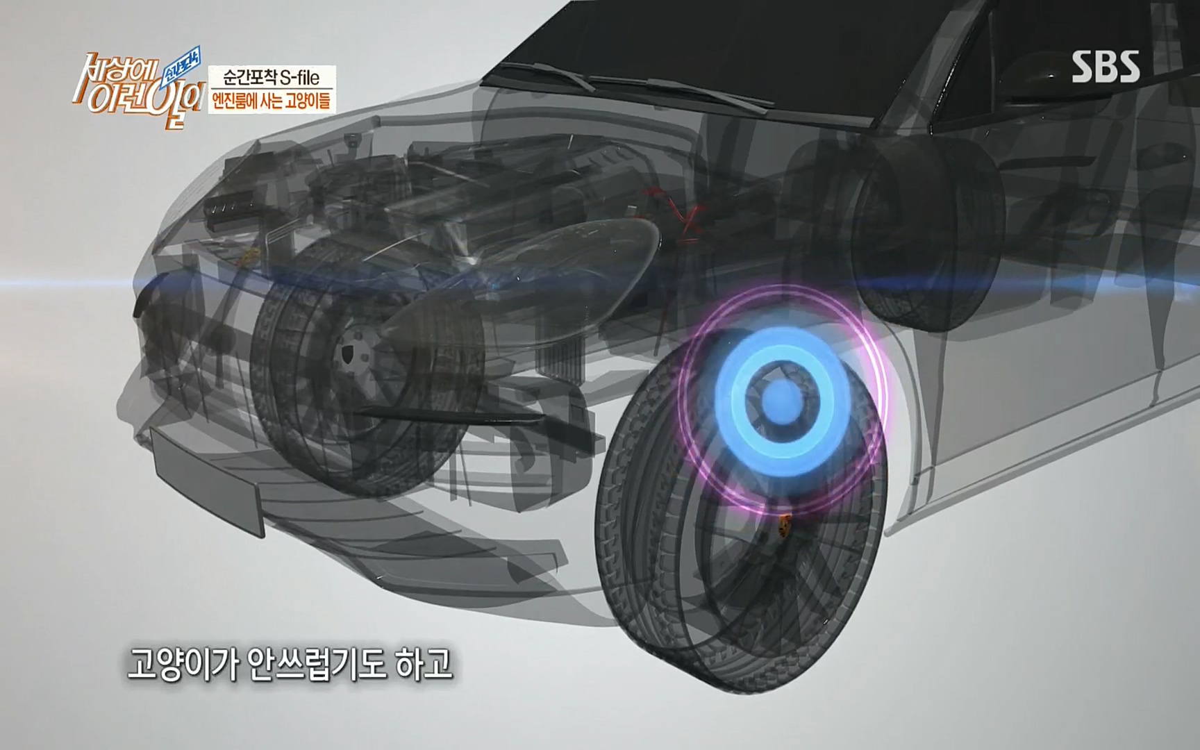 순간포착 세상에 이런일이.E1186.220628p.H264-F1RST.mp4_20220629_201020.558.jpg