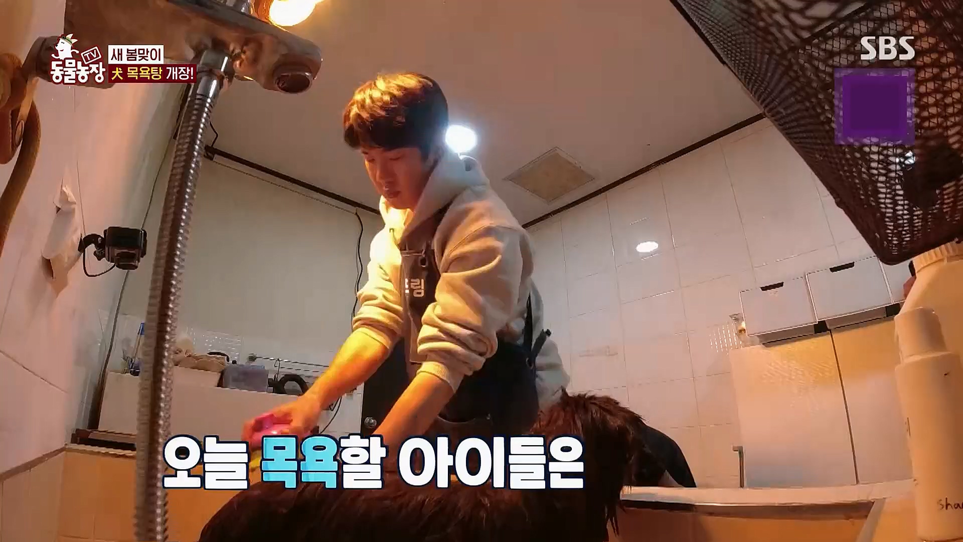 TV 동물농장.E1112.230319p.H264-F1RST.mp4_20230319_175211.652.jpg