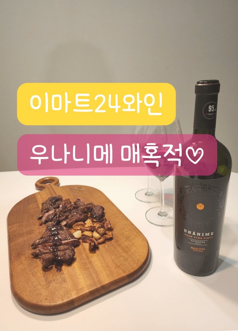 아르헨티나 우나니메 와인 반했다♥ 18