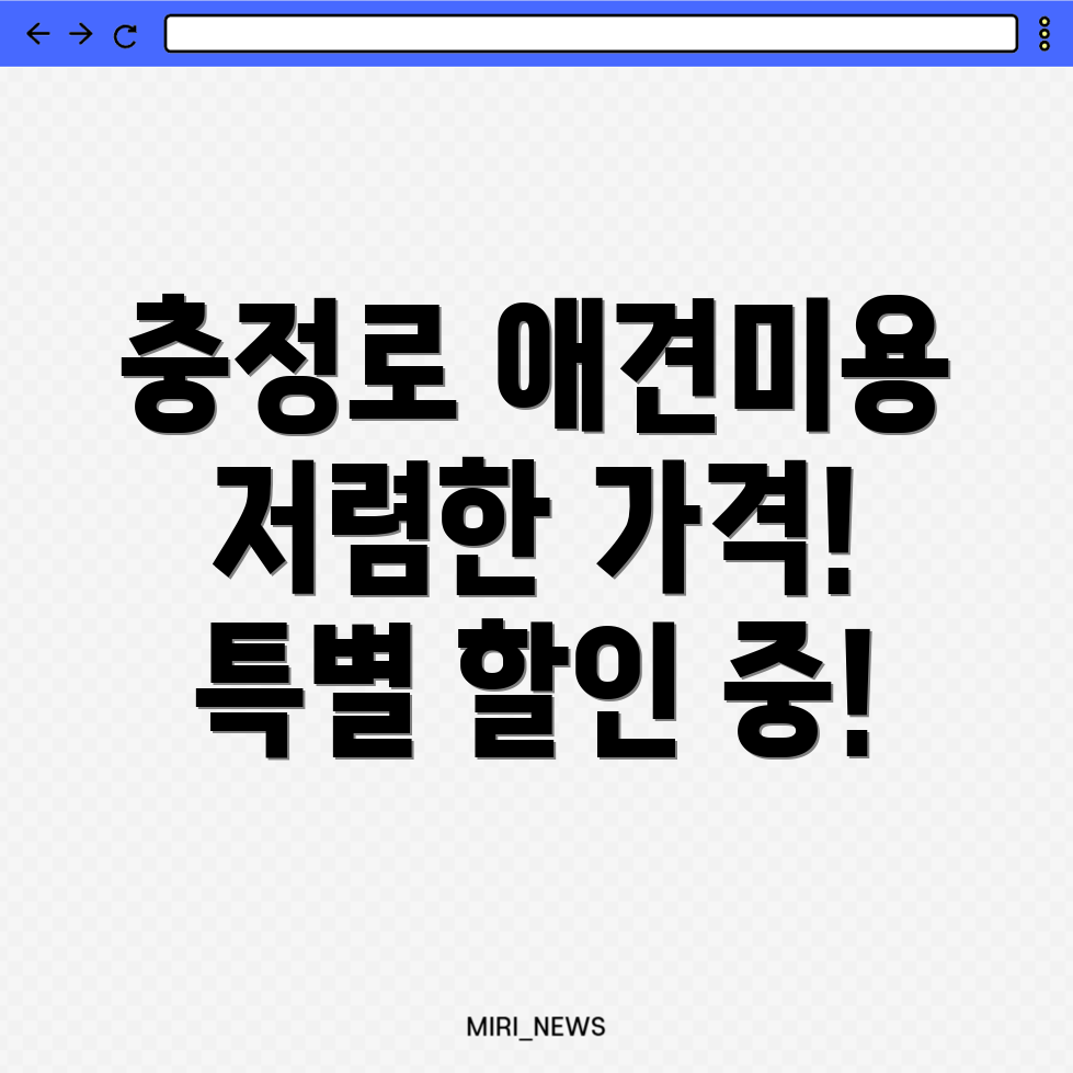 애견미용