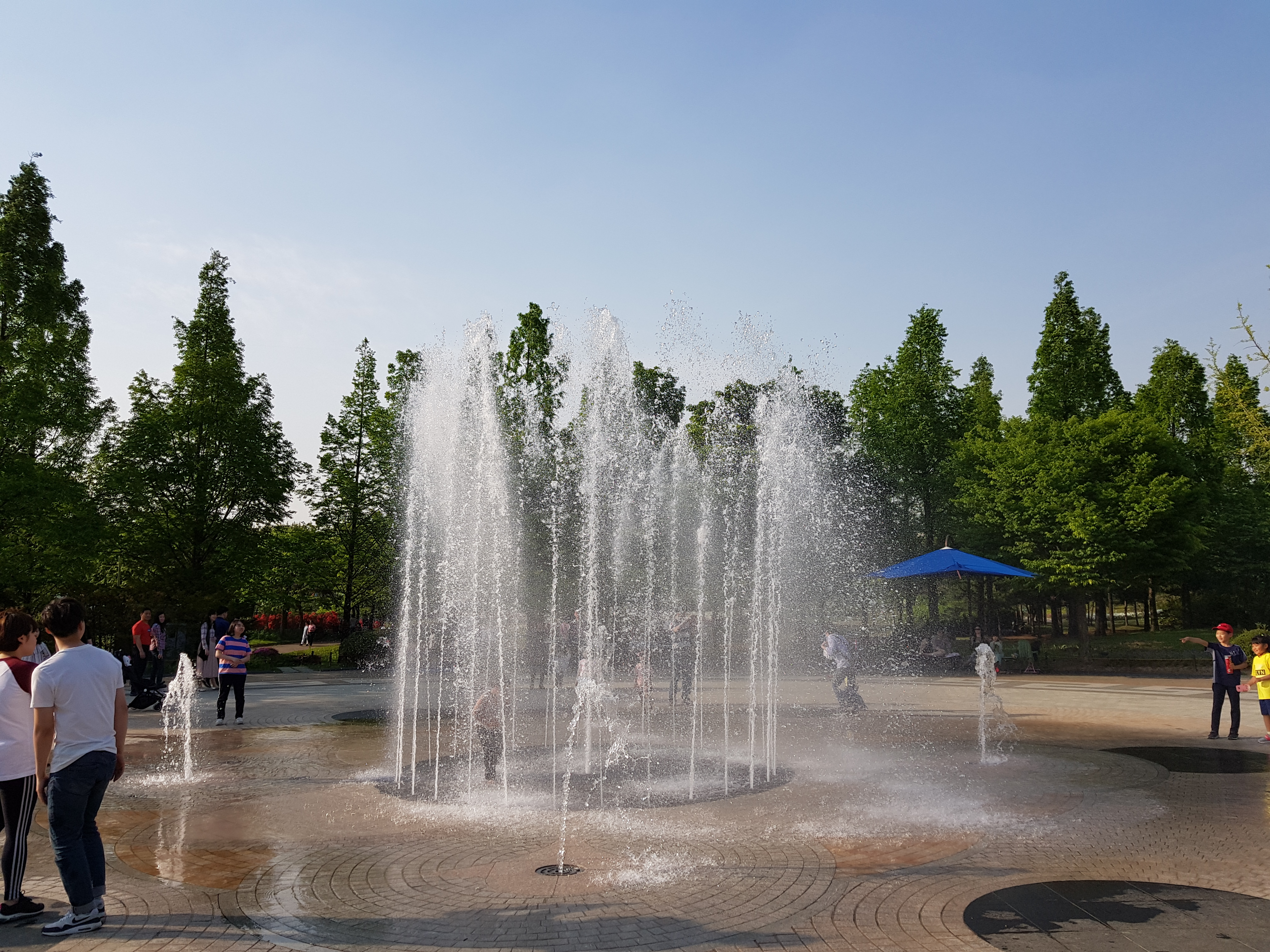 한밭수목원 입구 분수