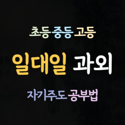  정상동 수학과외 삼척남양동 영어과외 초등 중등 국어과외 고등 내신 전문 중학생 시험 대비 코칭