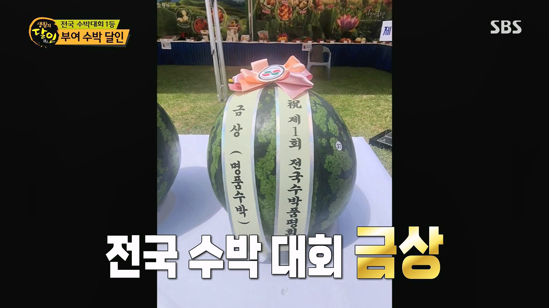 생활의 달인.E939.240610p.H264-F1RST.mp4_20240611_194025.406.jpg