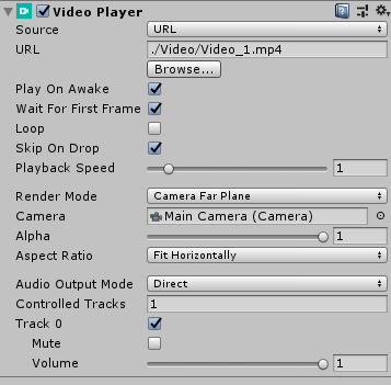 Video Player 설정화면
