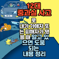  12대 중과실 사고로 내가 가해자 또는 피해자가 됐을 때 알고 있으면 도움 되는 내용 정리