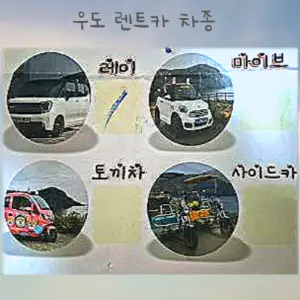 우도 렌트 전기차 차종류