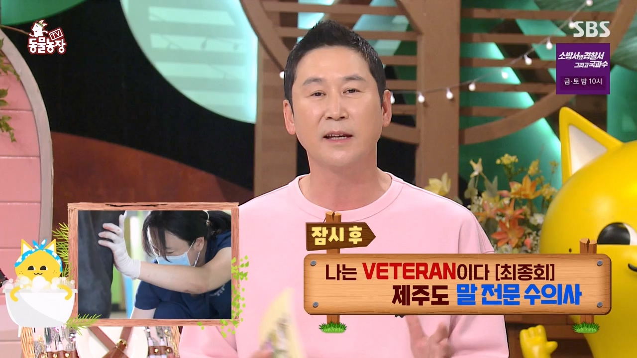 TV 동물농장.E1132.230807p-NEXT.mp4_20230806_164218.479.jpg