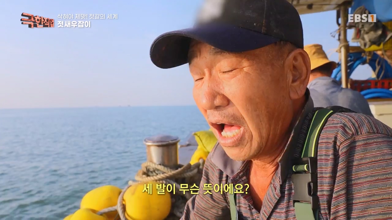 TV - 전 국민의 평생학교 EBS삭혀야 제맛! 젓갈의 세계.mp4_20231125_190842.505.jpg