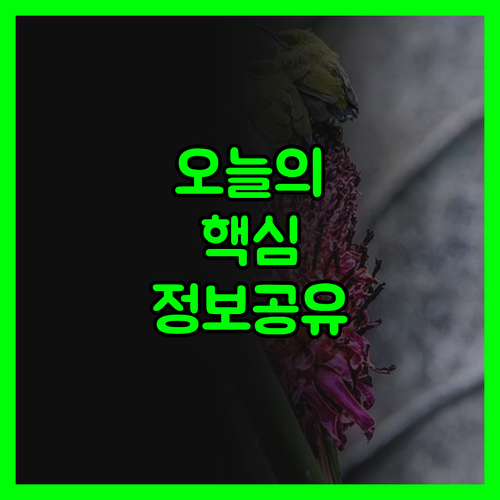 목포 오션 호텔에서 느낀 옥상 수영장