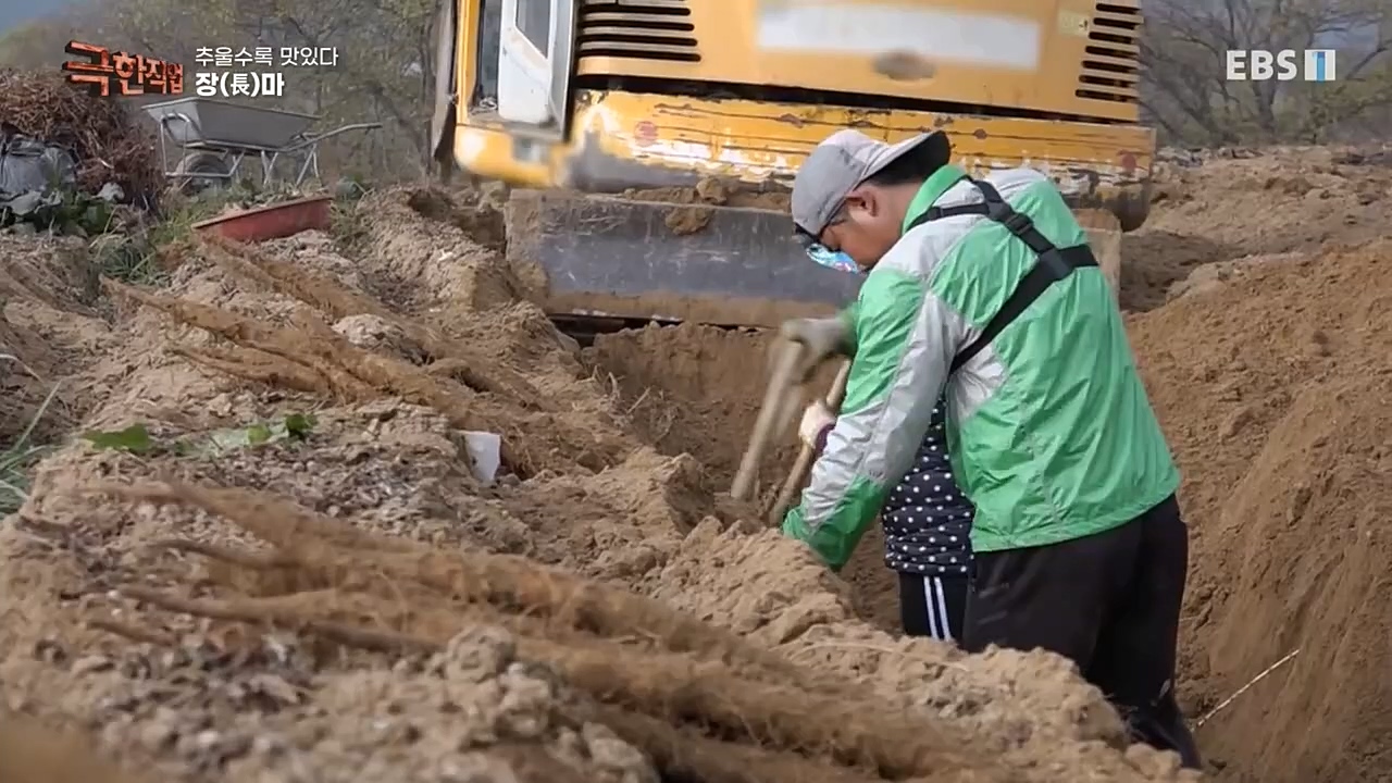 [극한직업] 추울수록 맛있다 장(長)마와 대방어.E734.221218p-NEXT.mp4_20221219_193402.713.jpg