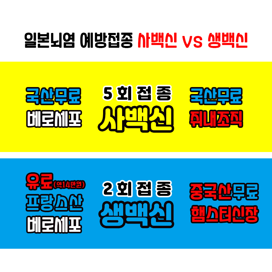  돌쟁이 일본뇌염 예방접종 : 사백신이냐 생백신이냐!