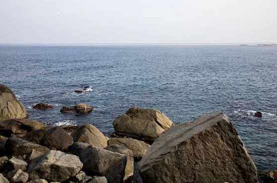 외옹치항